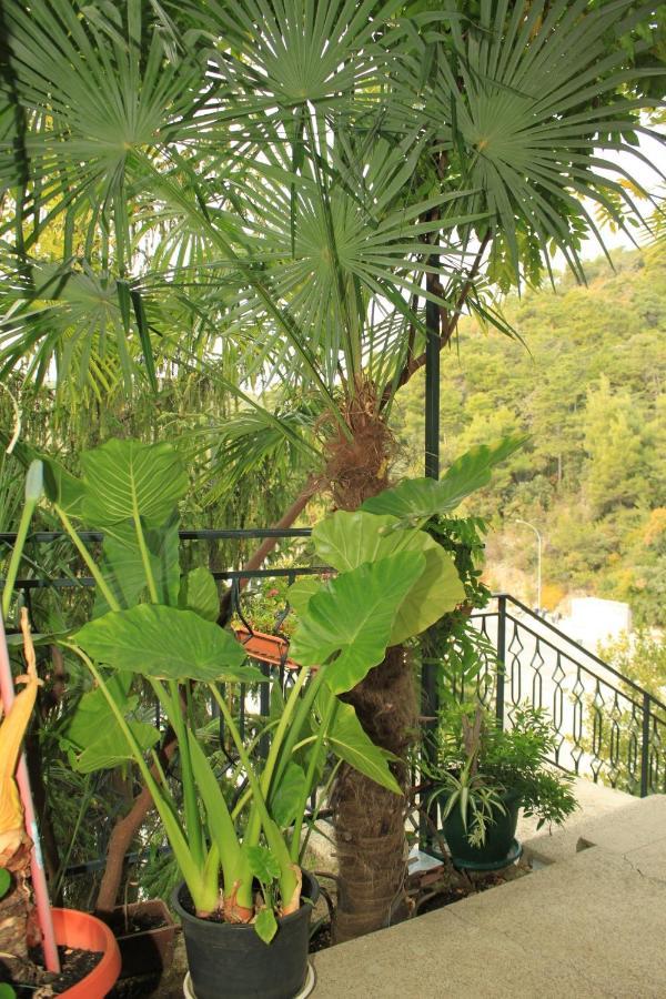 Apartments With Wifi Rabac, Labin - 7472 Екстериор снимка